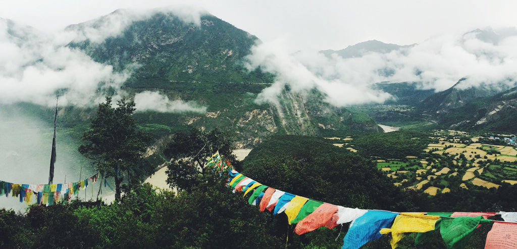 Legendary Tea In Himalaya